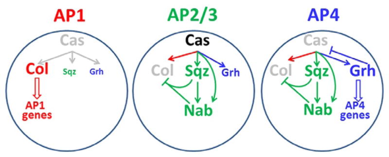 Figure 3.5