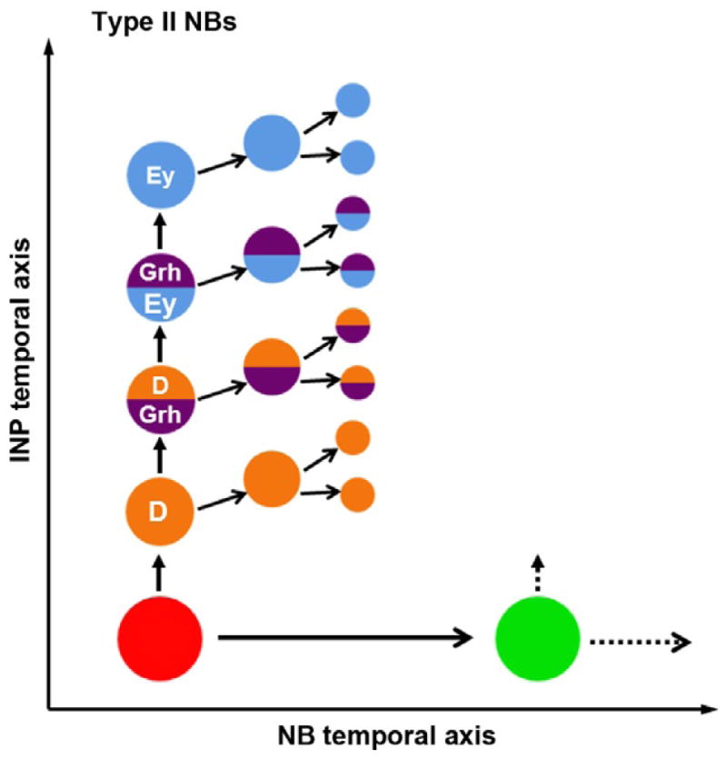 Figure 3.3