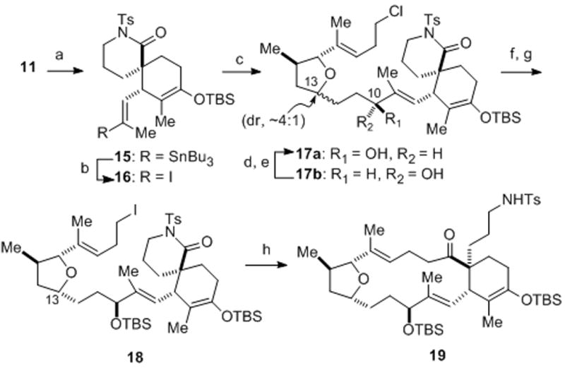 Scheme 3