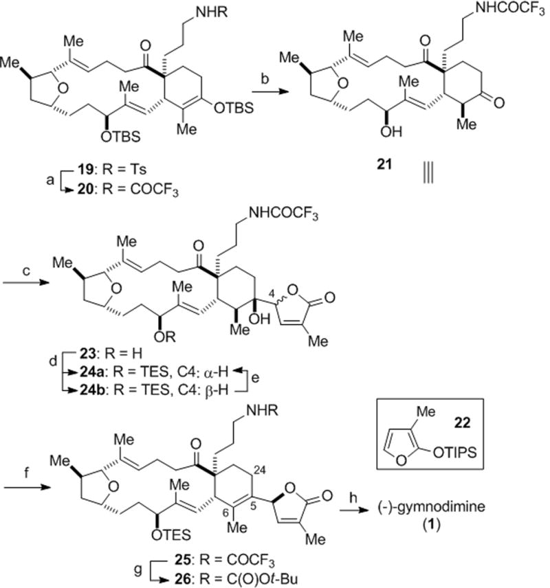 Scheme 4