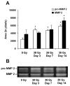 FIG. 8