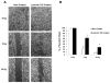 FIG. 10