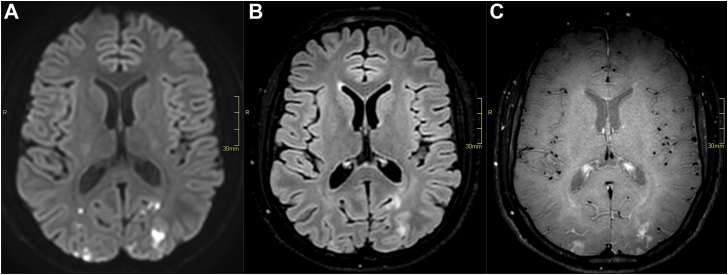 Figure 3