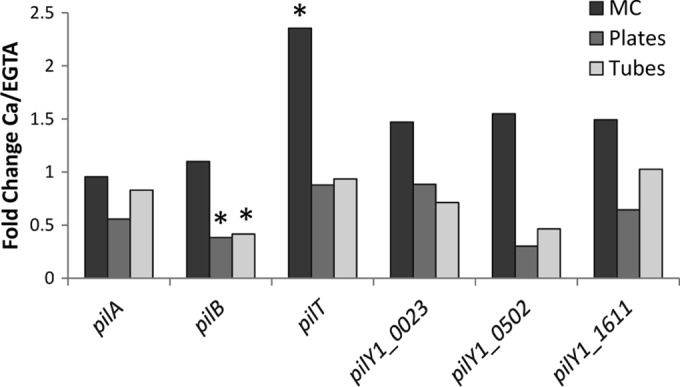 FIG 4