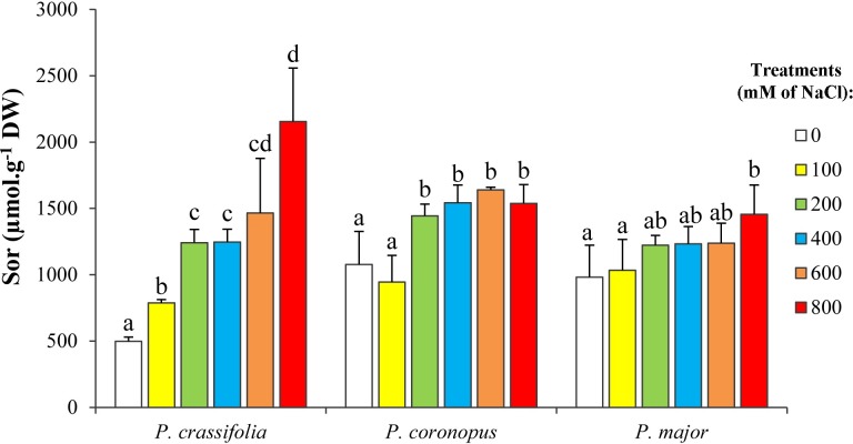 Fig 5