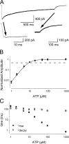Figure 9.