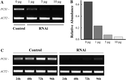 Figure 4.