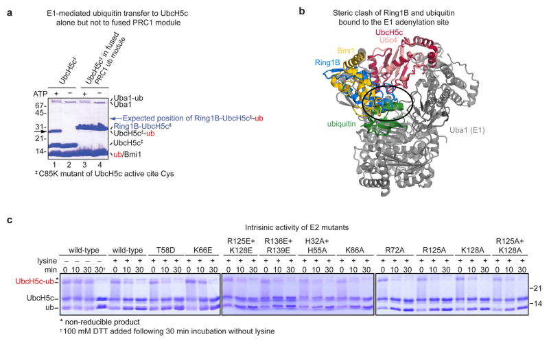 Extended Data Figure 2