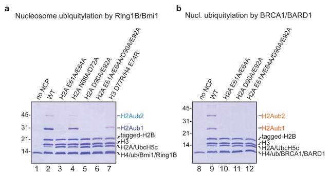 Extended Data Figure 5