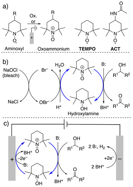 Scheme 1.