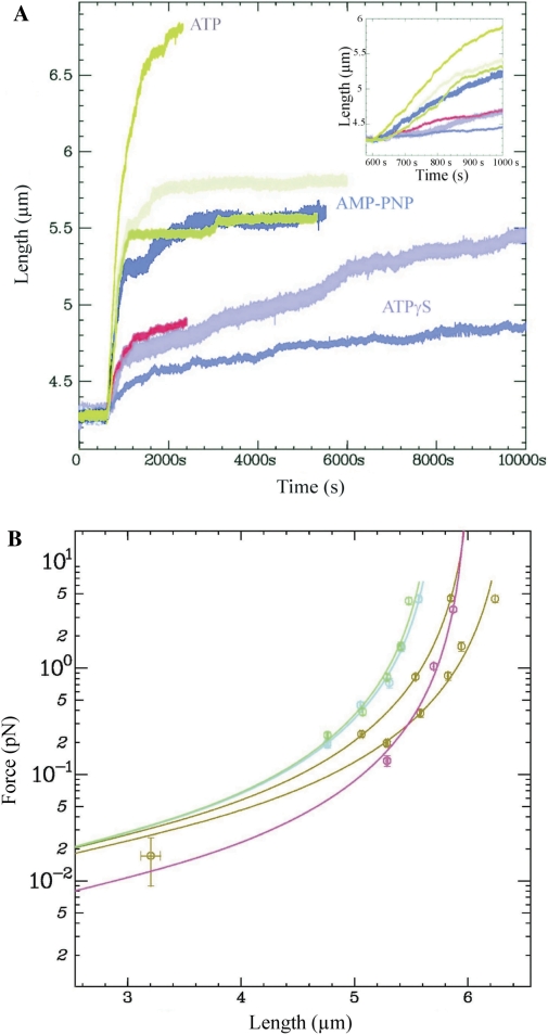 Figure 5.