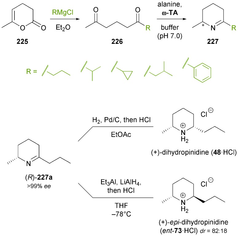 Scheme 27