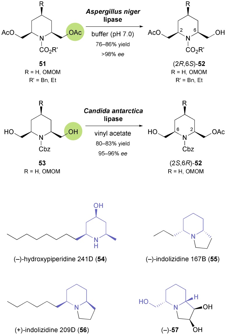 Scheme 8