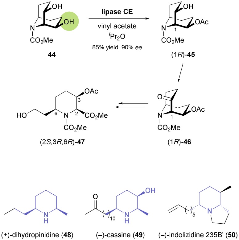 Scheme 7