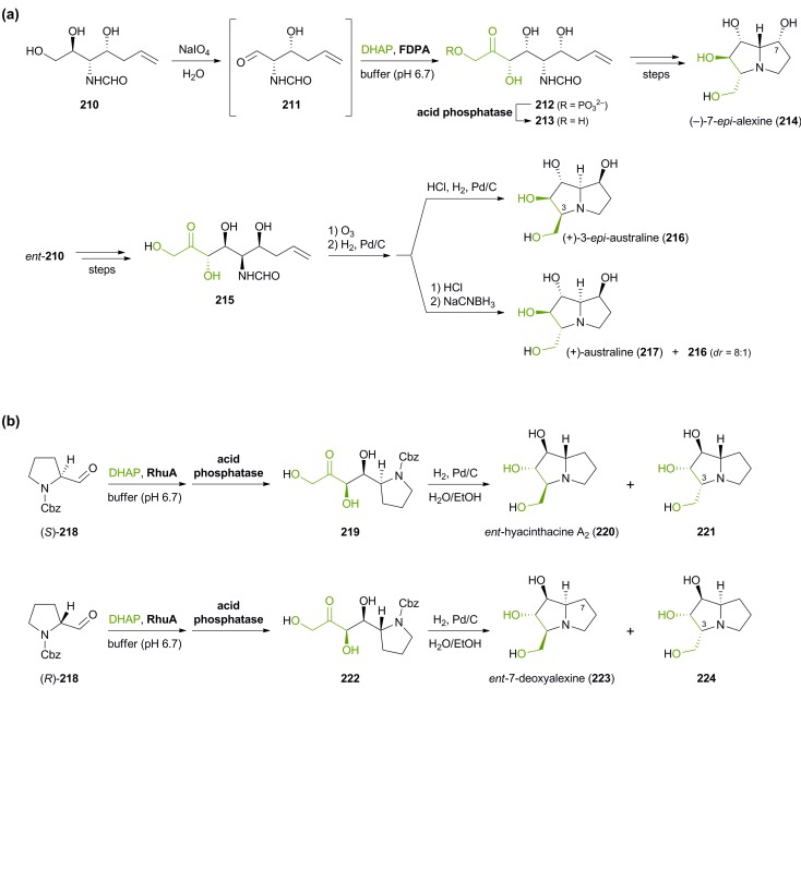 Scheme 26