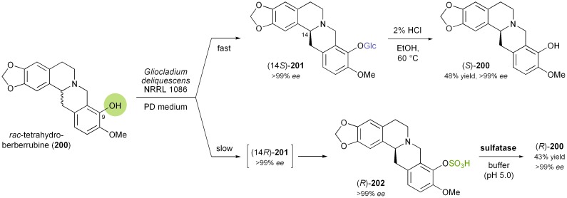 Scheme 24