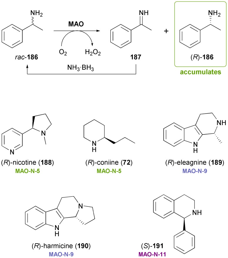 Scheme 22