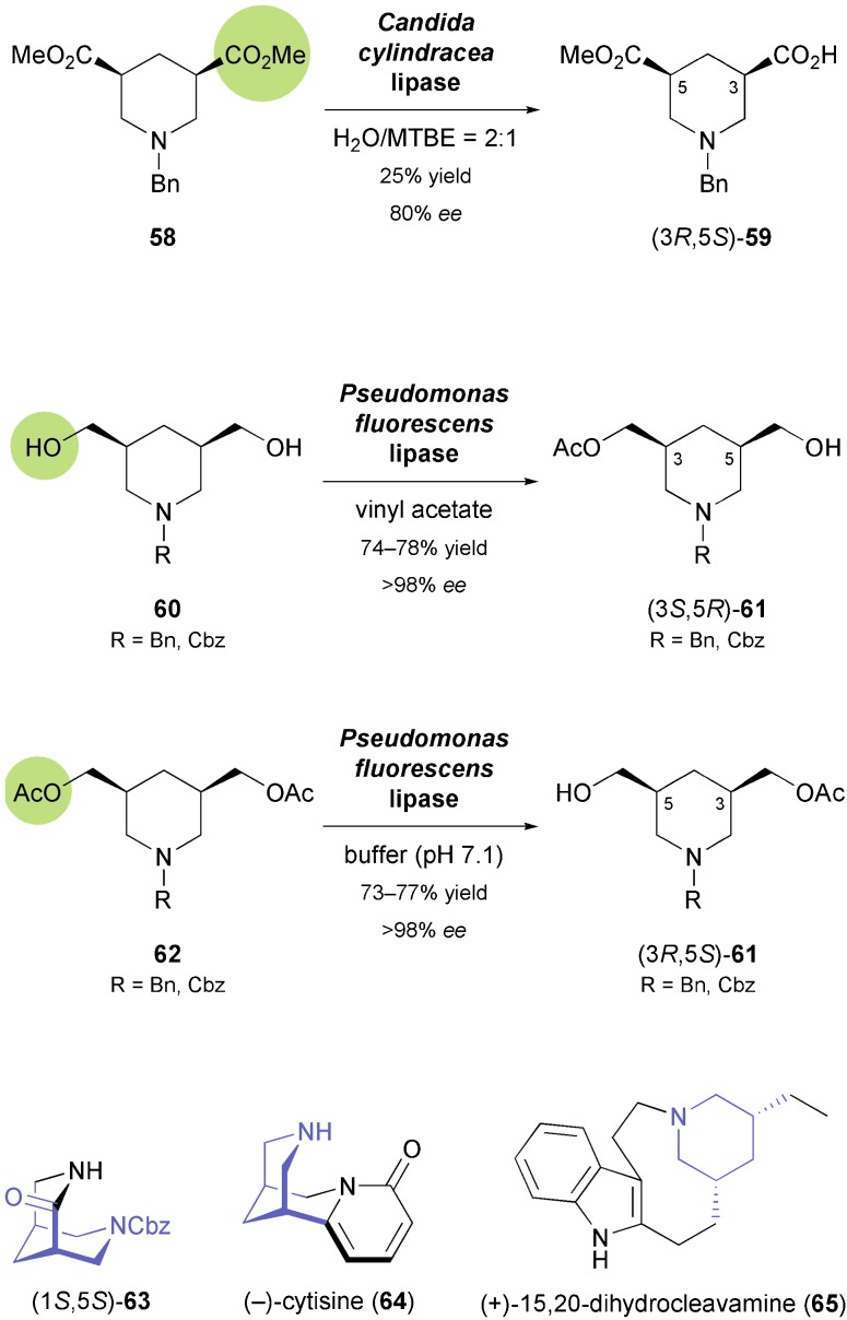 Scheme 9