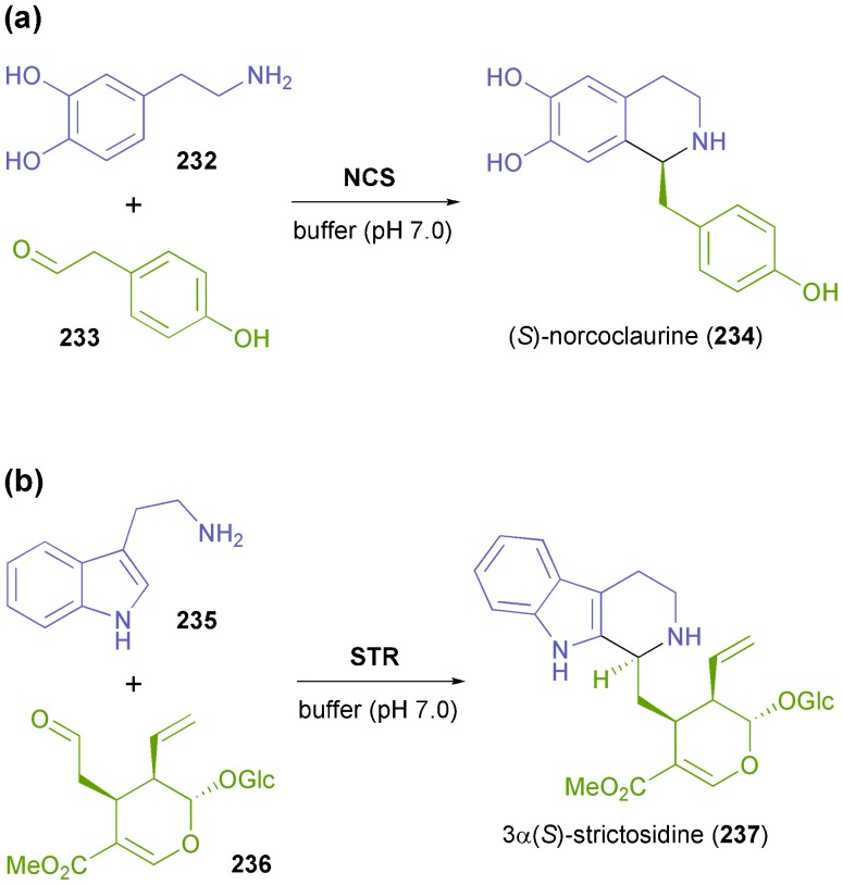 Scheme 29