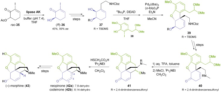 Scheme 6