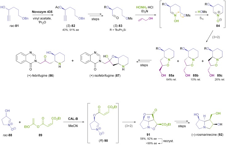 Scheme 12