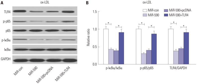 Fig. 5