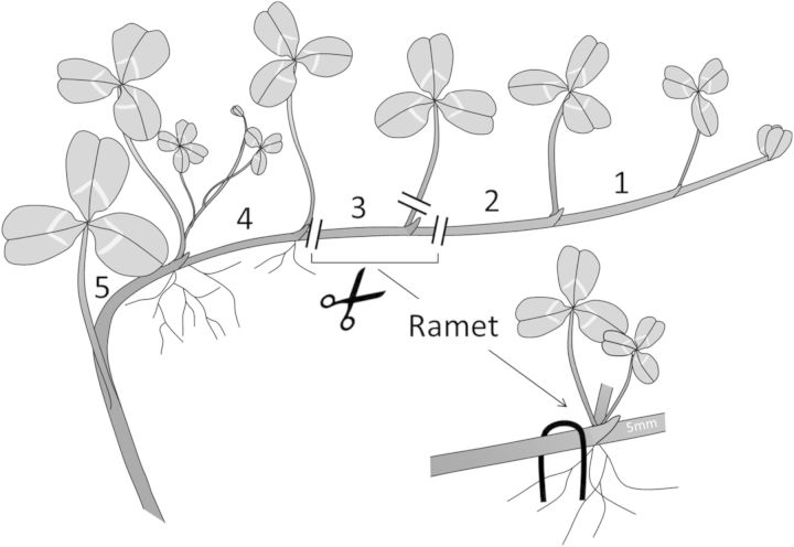 Figure 2.