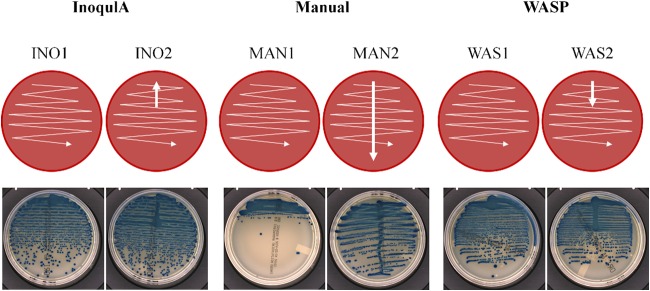 FIG 1