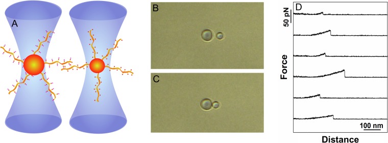 Fig. 2.