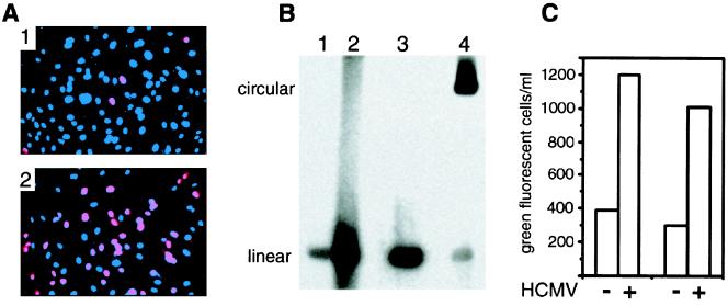 FIG. 6