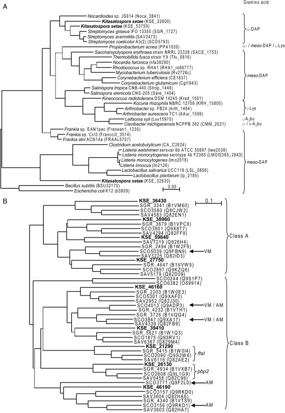 Figure 4.