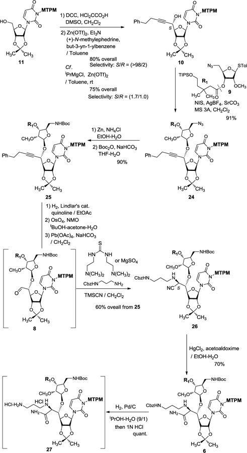 Scheme 3