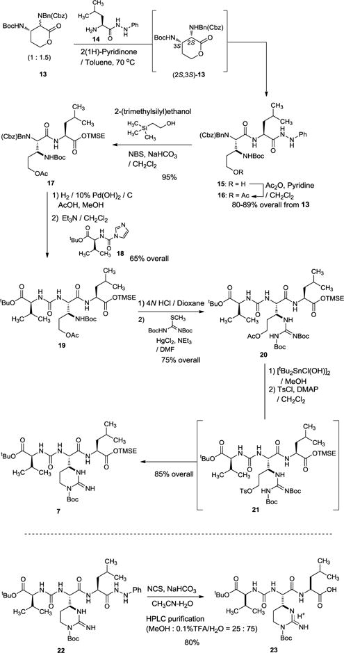 Scheme 2