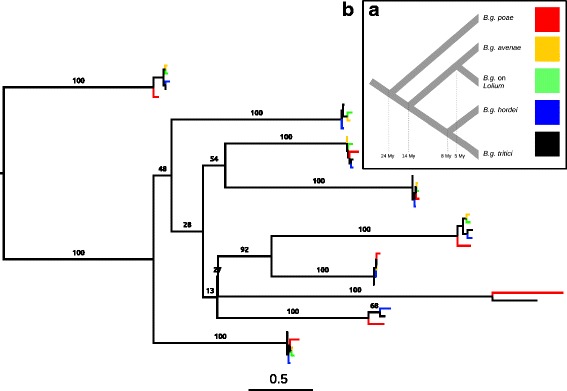 Fig. 6