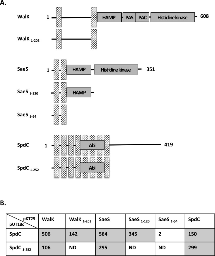 Fig 8