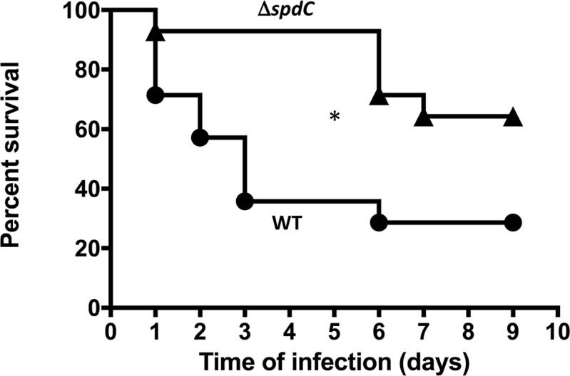 Fig 6