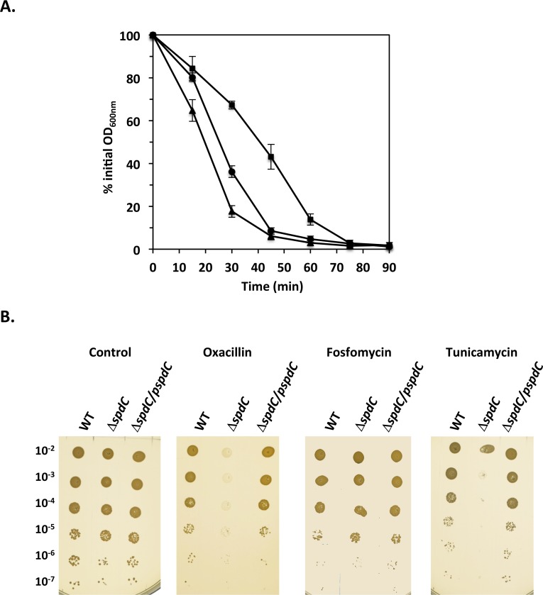 Fig 4