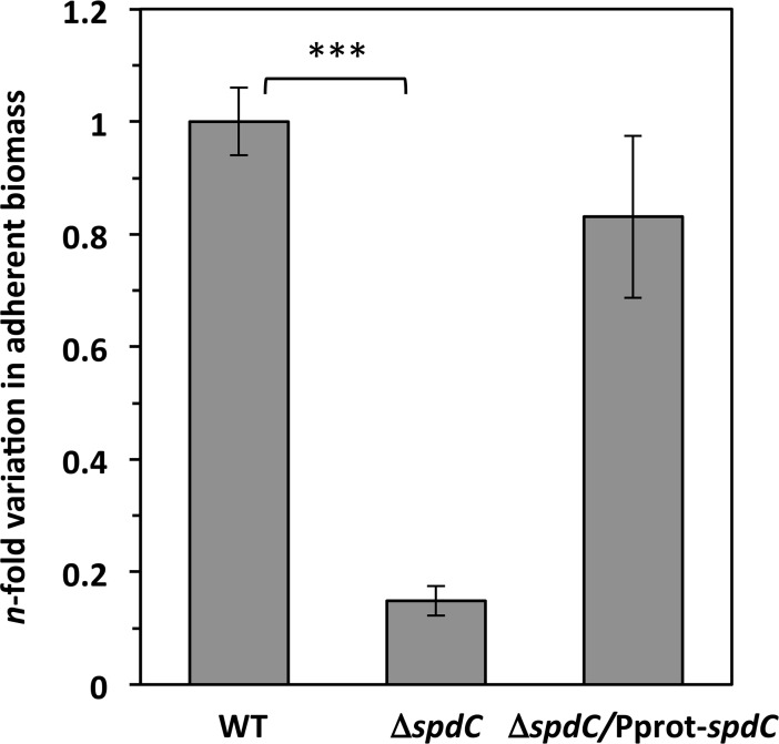 Fig 5