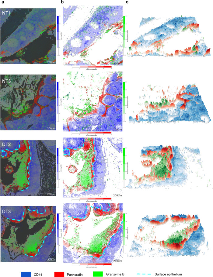 Fig. 7