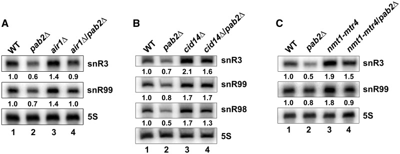 Figure 6.