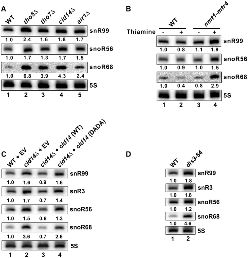 Figure 3.