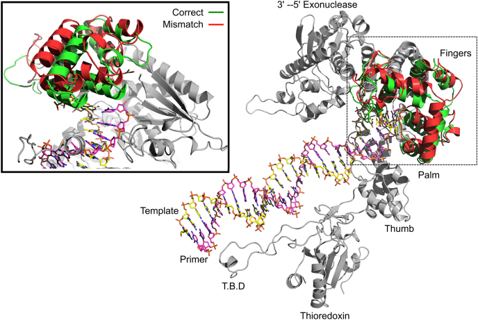 Figure 9