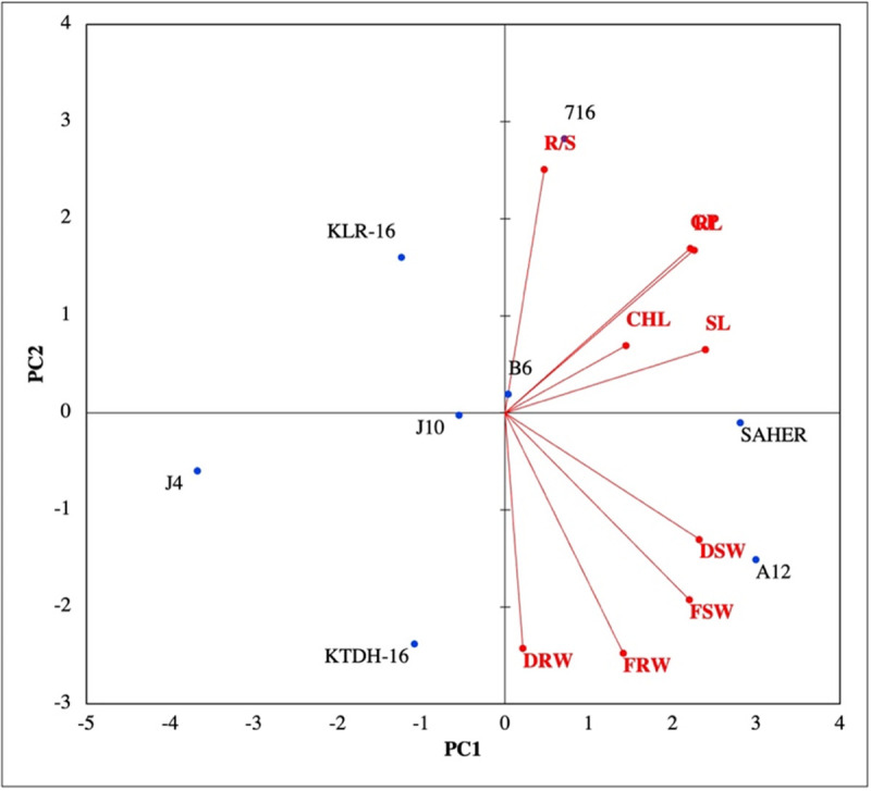 Fig 2