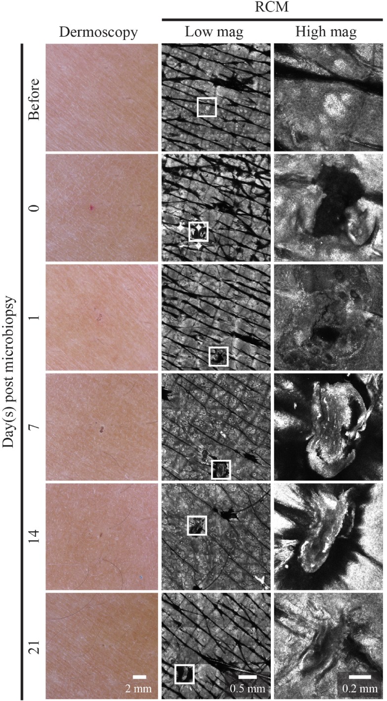 Figure 6. 