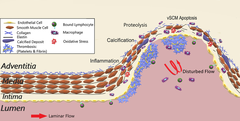 Figure 3: