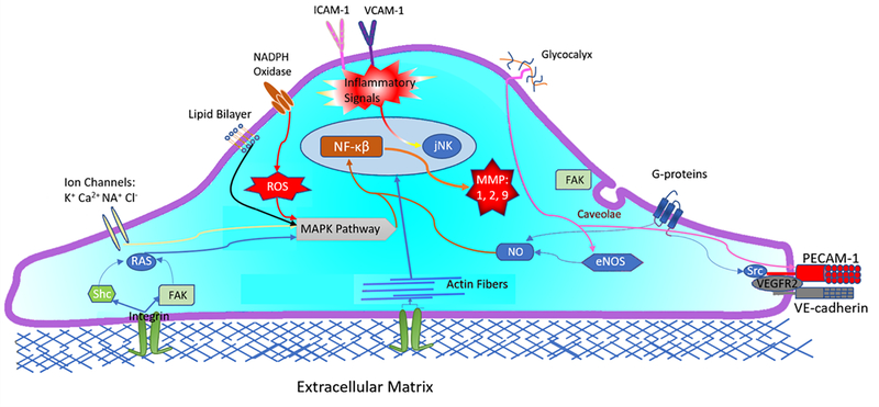 Figure 2: