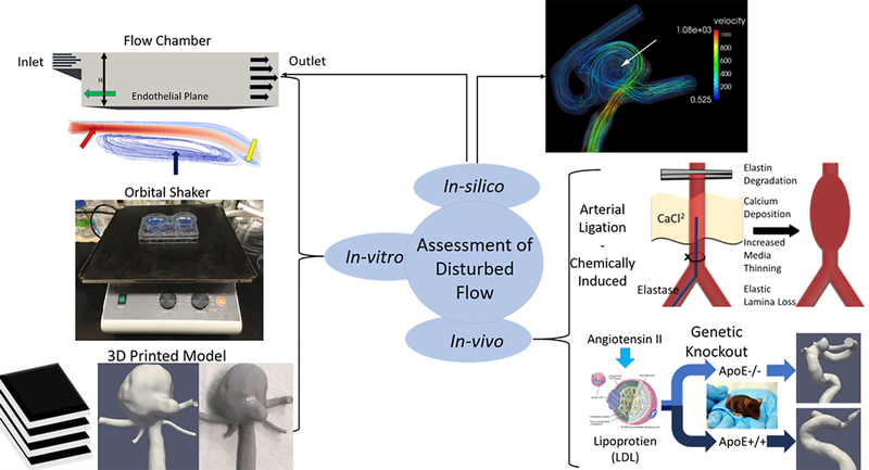 Figure 4: