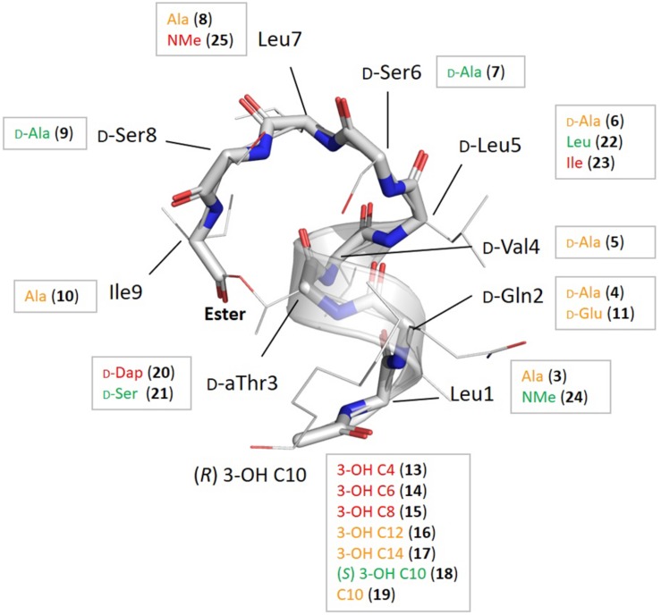 FIGURE 2