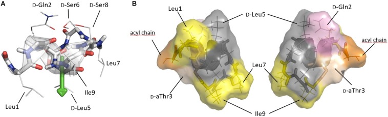 FIGURE 4