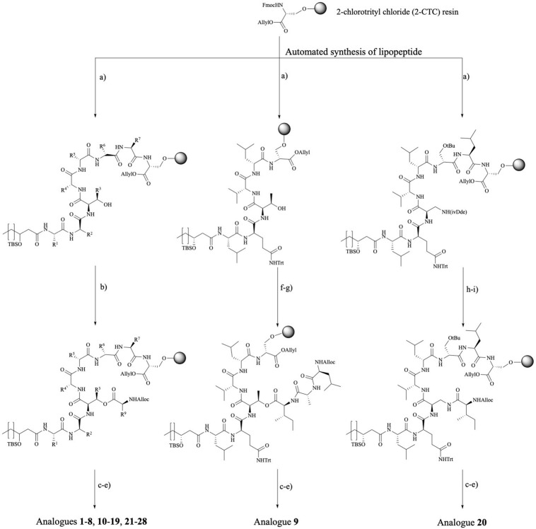 FIGURE 3